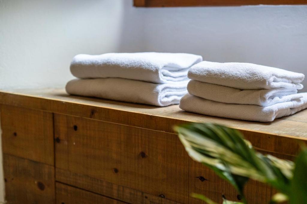 Puccinotti House Apartment ฟลอเรนซ์ ภายนอก รูปภาพ