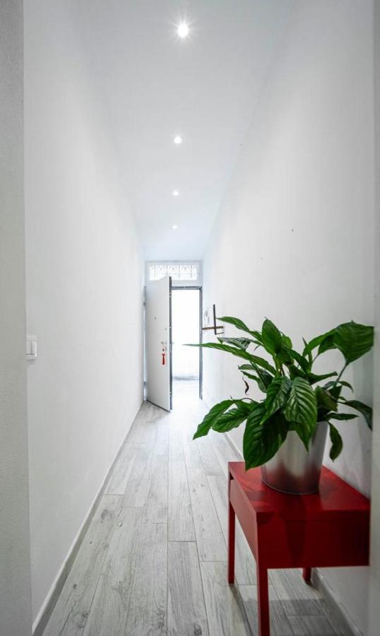 Puccinotti House Apartment ฟลอเรนซ์ ภายนอก รูปภาพ